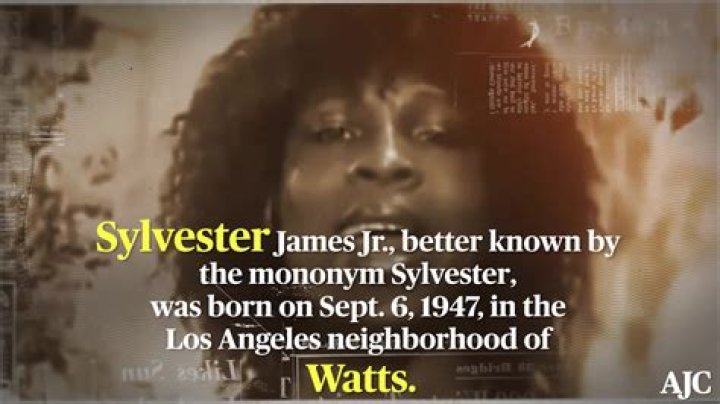 What was Sylvester James net worth at the time of death?