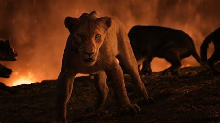 Who are the hyenas in lion King? – Celebrity