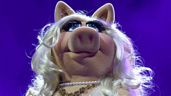 Who is Floyd The Muppet based on? – Celebrity