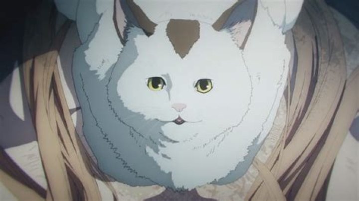 Who is Meowy in ‘Chainsaw Man?’