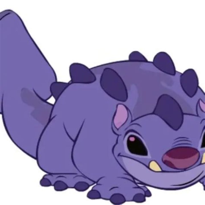 Who is the Purple Stitch? – Celebrity