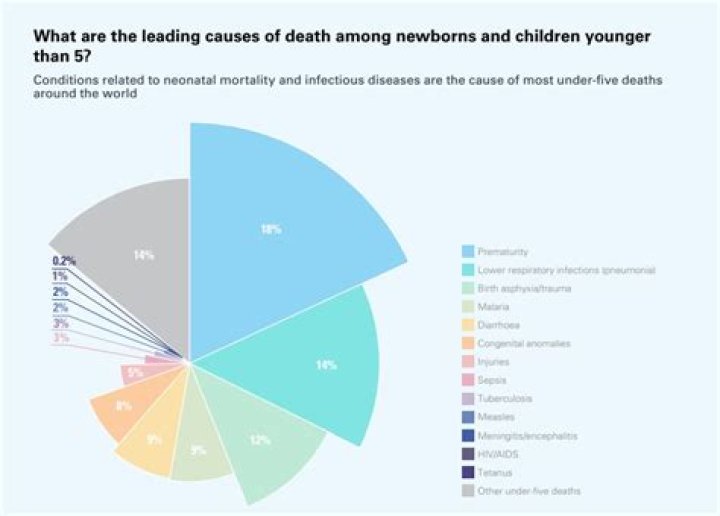Who was Hope Mwansa Banda? Age, cause of death, children