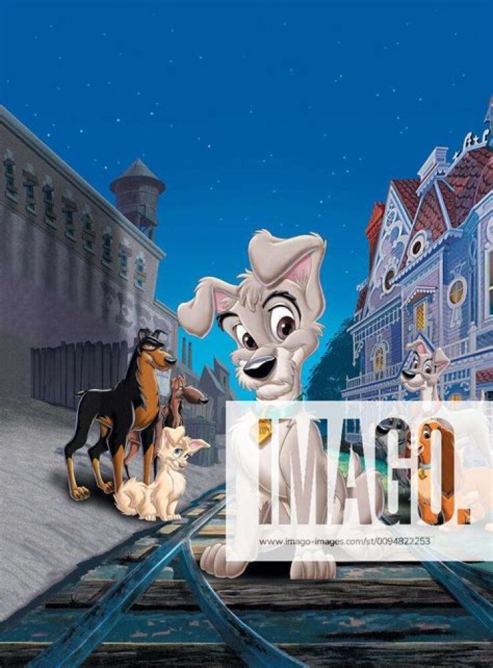 Why was Buster jealous of Tramp? – Celebrity