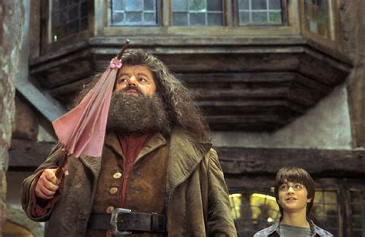 Why was Hagrid expelled from Hogwarts in ‘Harry Potter’?
