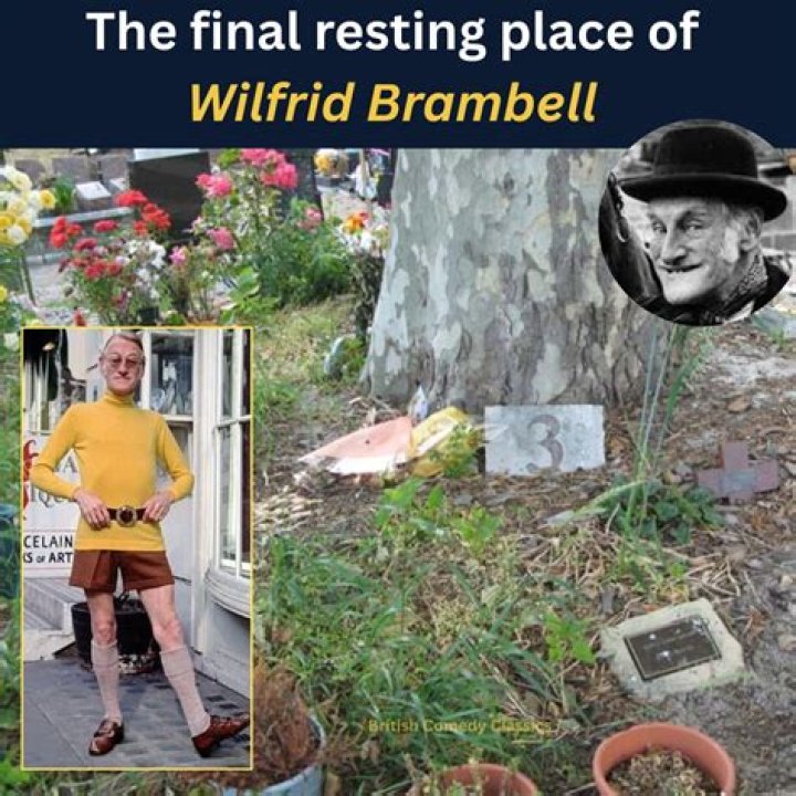 Wilfrid Brambell Biography - Facts, Childhood, Family Life & Achievements